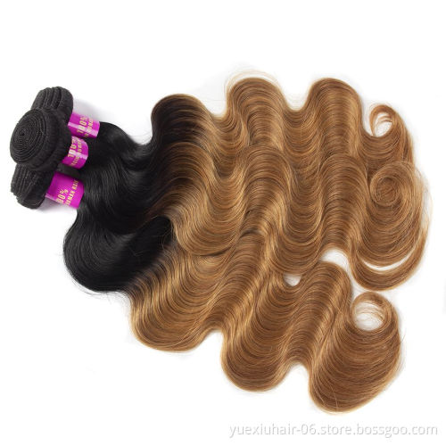 CELIE Body Wave 1B/27 Ombre Women Human Hair Mink 100% Virgin Hair Good Quality Human Hair Bulk